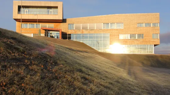 Bilde av Diehtosiida