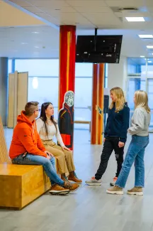 Allaskuvla Studentgovat 11